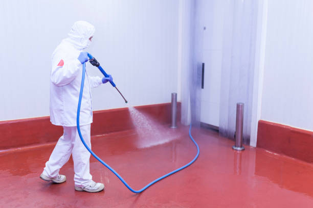 Best Graffiti Removal  in North East, MD